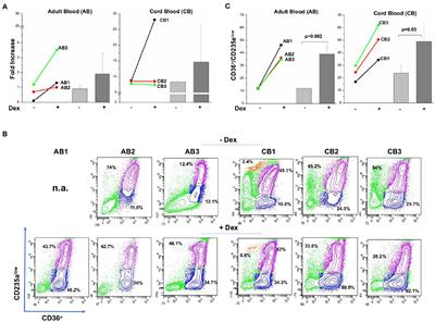 The Glucocorticoid Receptor Polymorphism Landscape in Patients With Diamond Blackfan Anemia Reveals an Association Between Two Clinically Relevant Single Nucleotide Polymorphisms and Time to Diagnosis